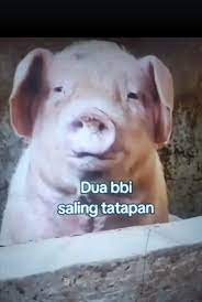 KEK GINI AJA NYOLONG TAPI KATANYA SEO